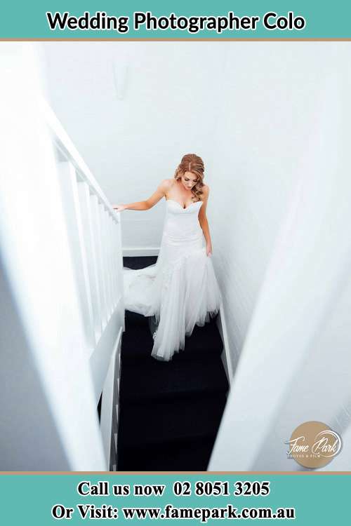 Photo of the Bride going down the stair Colo NSW 2756