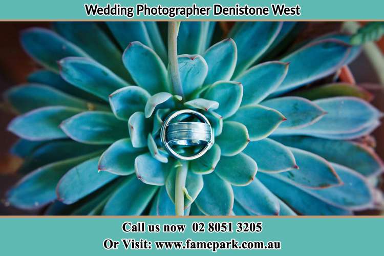 Photo of the wedding ring design at the top of the plant Denistone West NSW 2114