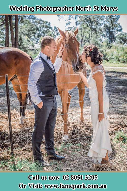 Photo of the Groom and the Bride caressing a horse North St Marys NSW 2760